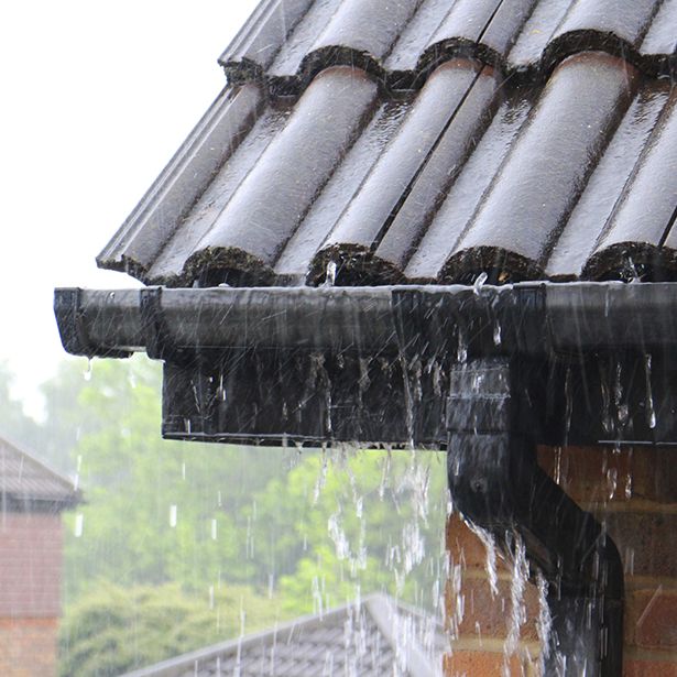 f8ea00a2-fd53-4127-ad7e-b540acf0cf2f